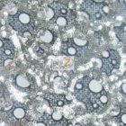 Circular Bombshell Sequins Lace Fabric Silver